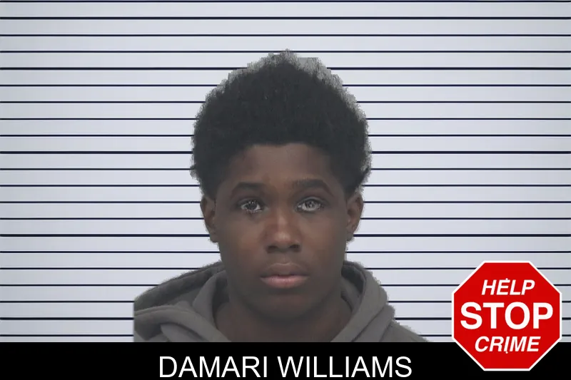Damari Williams mugshot