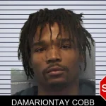 Damariontay Cobb mugshot