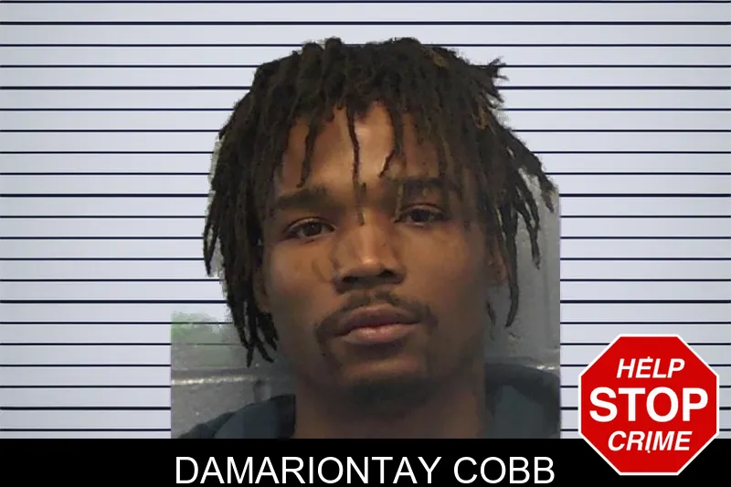 Damariontay Cobb mugshot