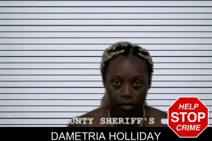 Dametria Holliday mugshot