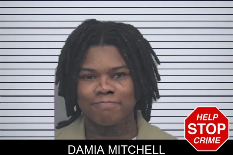 Damia Mitchell
