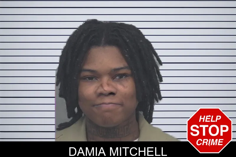 Damia Mitchell mugshot – Gwinnett County , Georgia Damia Mitchell mugshot