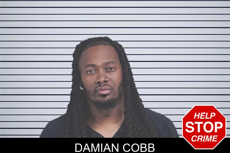 Damian Cobb mugshot