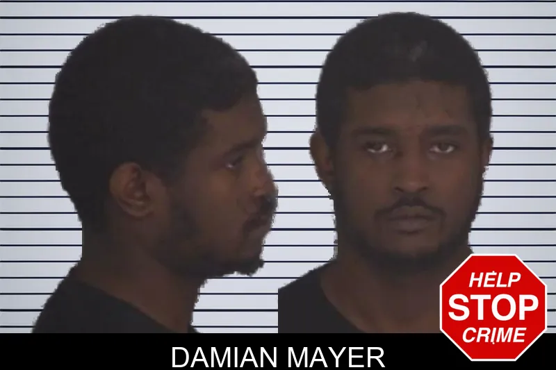 Damian Mayer mugshot