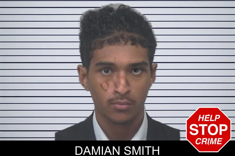 Damian Smith mugshot