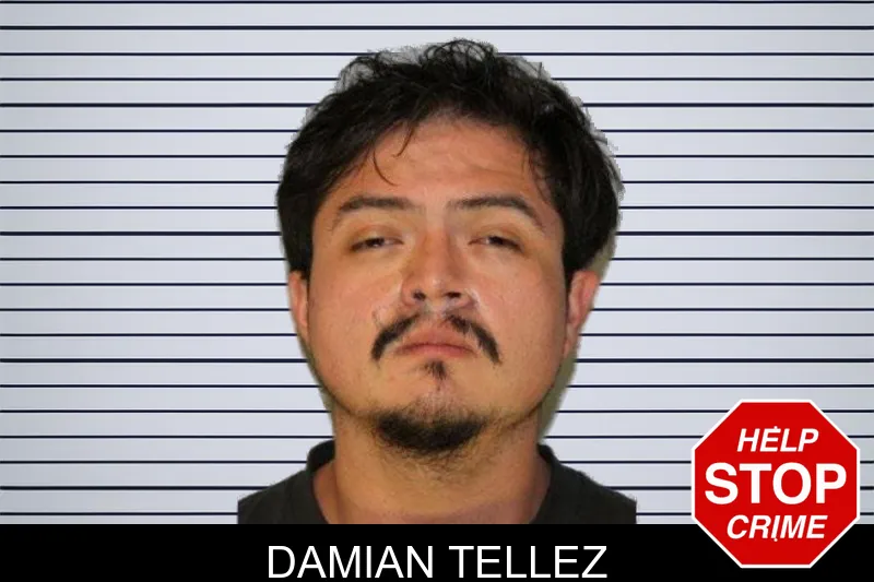 Damian Tellez mugshot – Hall County , Georgia Damian Tellez mugshot