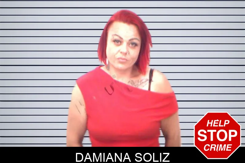 Damiana Soliz mugshot