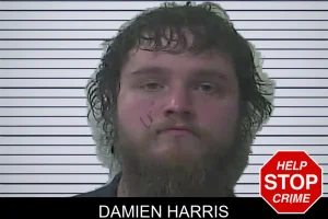 Damien Harris mugshot