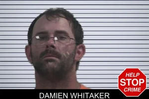 Damien Whitaker mugshot