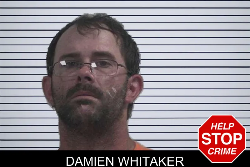 Damien Whitaker mugshot