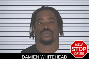 Damien Whitehead mugshot
