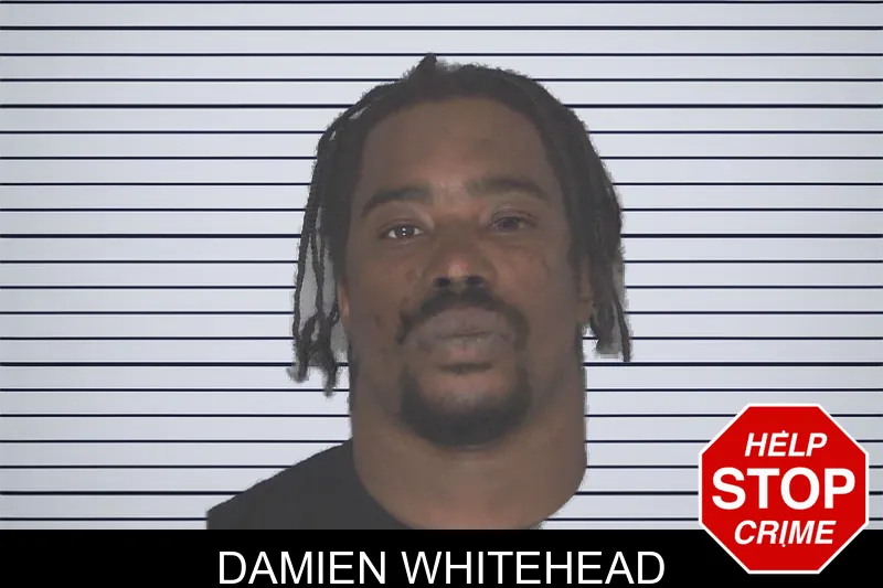 Damien Whitehead mugshot