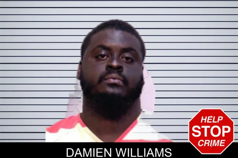 Damien Williams