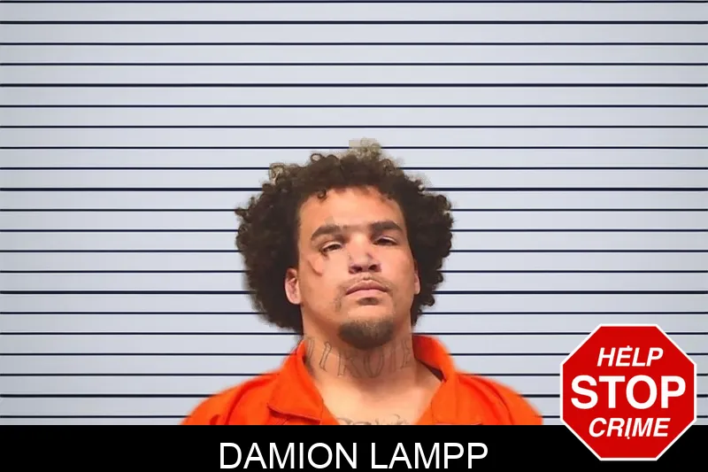 Damion Lampp mugshot – Bleckley County , Georgia Damion Lampp mugshot