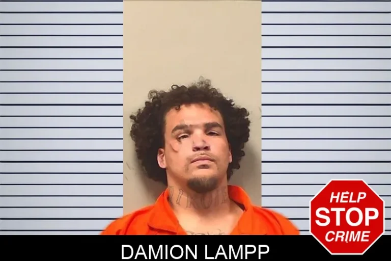 Damion Lampp