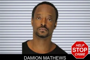 Damion Mathews mugshot