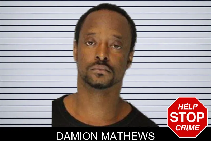 Damion Mathews mugshot
