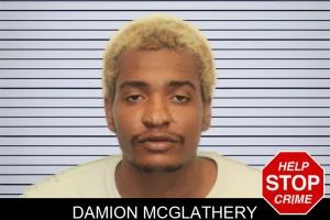 Damion McGlathery mugshot