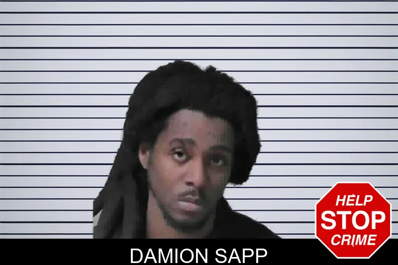 Damion Sapp mugshot – Miller County , Georgia Damion Sapp mugshot