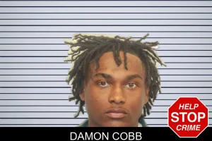 Damon Cobb mugshot