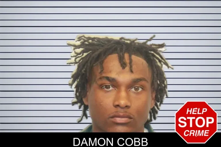 Damon Cobb mugshot – Lowndes County , Georgia Damon Cobb