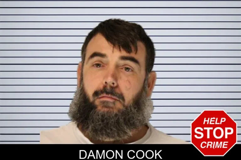Damon Cook