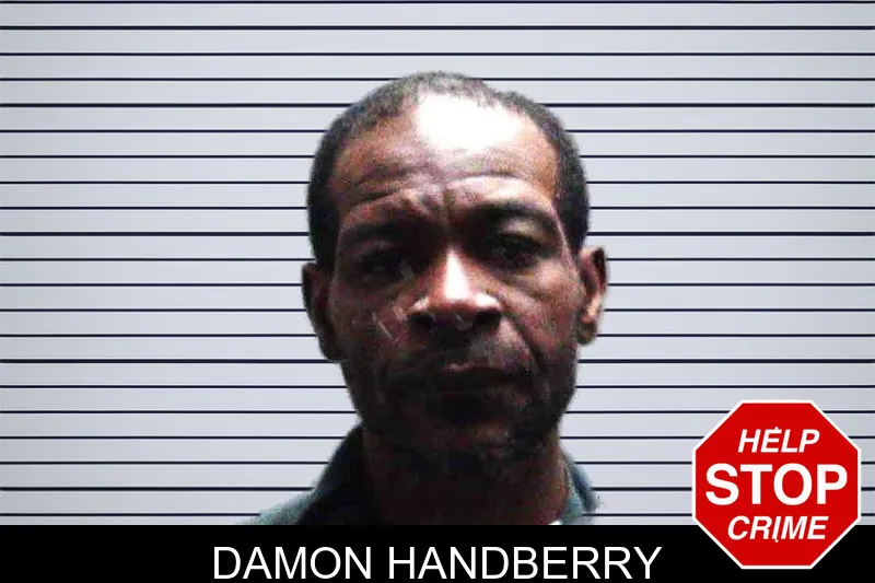 Damon Handberry mugshot