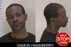 Damon Handberry mugshot