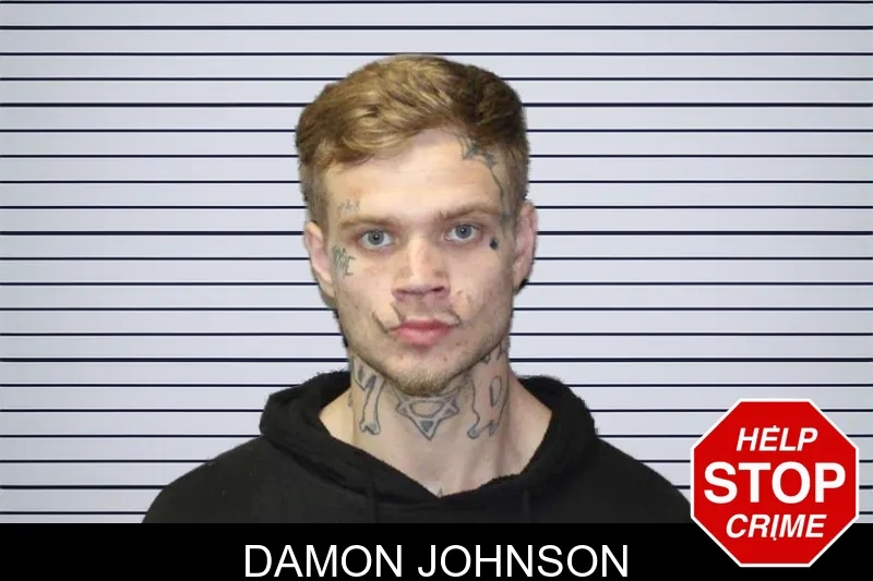 Damon Johnson mugshot