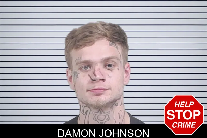 Damon Johnson mugshot