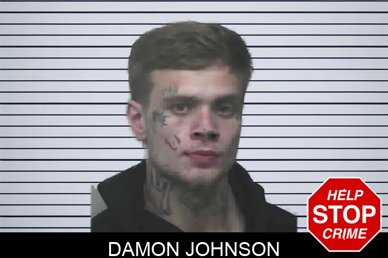 Damon Johnson mugshot