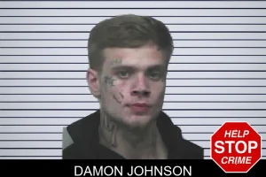 Damon Johnson mugshot