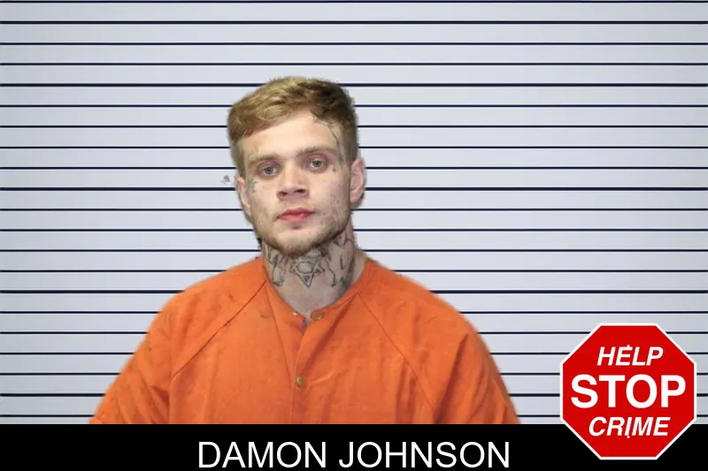 Damon Johnson mugshot