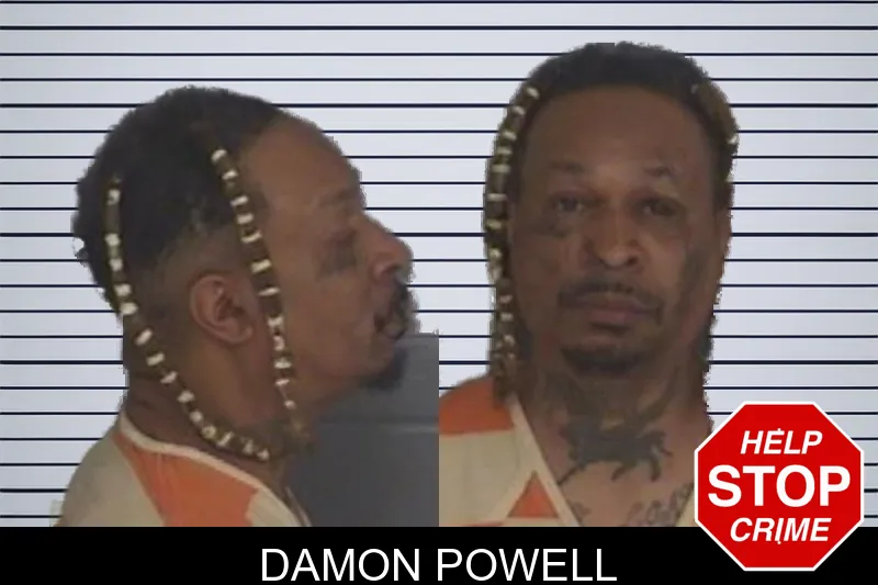 Damon Powell mugshot