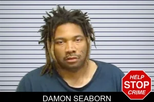 Damon Seaborn mugshot