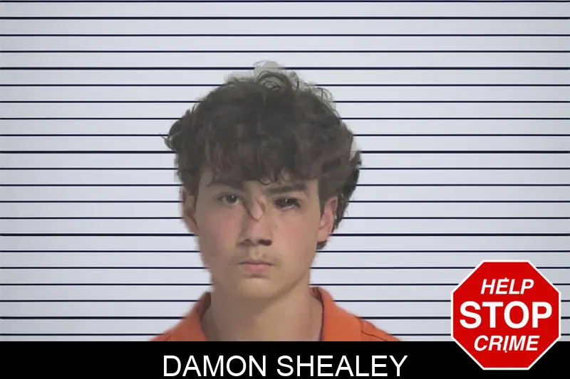 Damon Shealey mugshot