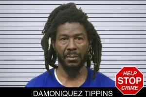 Damoniquez Tippins mugshot