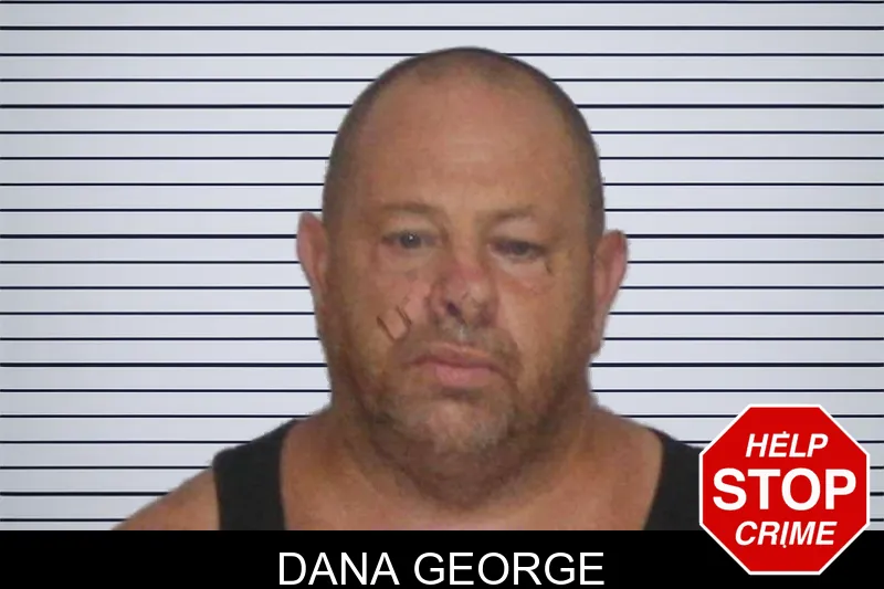 Dana George mugshot