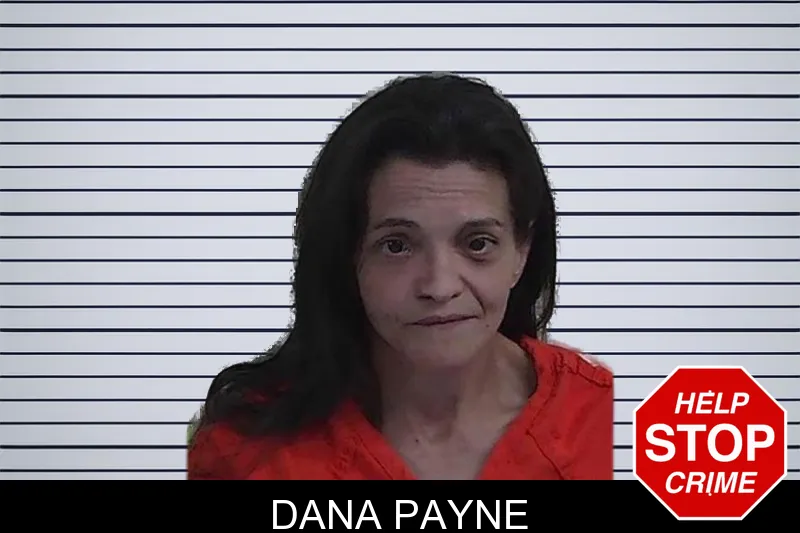 Dana Payne mugshot