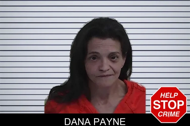 Dana Payne mugshot – Fannin County , Georgia Dana Payne