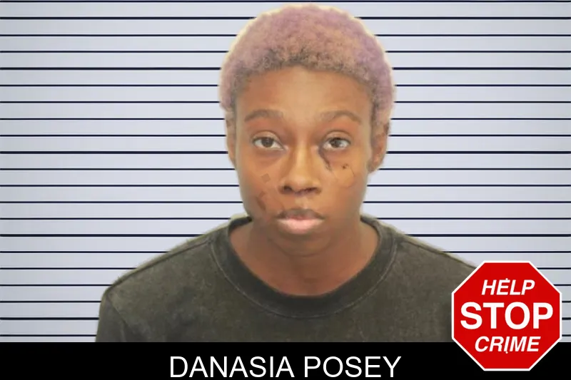 Danasia Posey mugshot