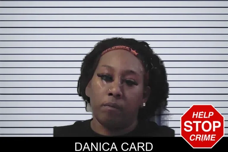 Danica Card