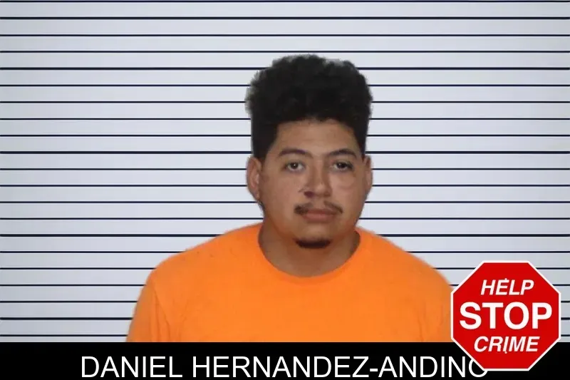 Daniel Hernandez-Andino mugshot