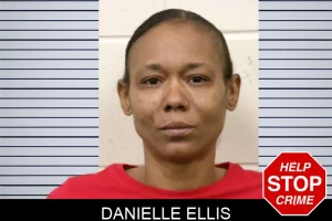 Danielle Ellis mugshot