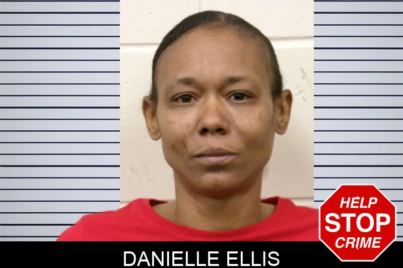 Danielle Ellis mugshot – Bulloch County , Georgia Danielle Ellis mugshot