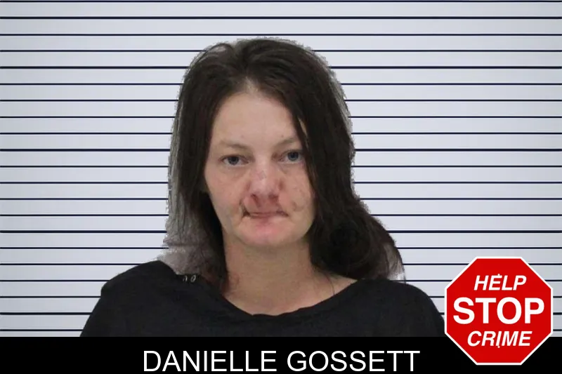 Danielle Gossett mugshot – Carroll County , Georgia Danielle Gossett mugshot