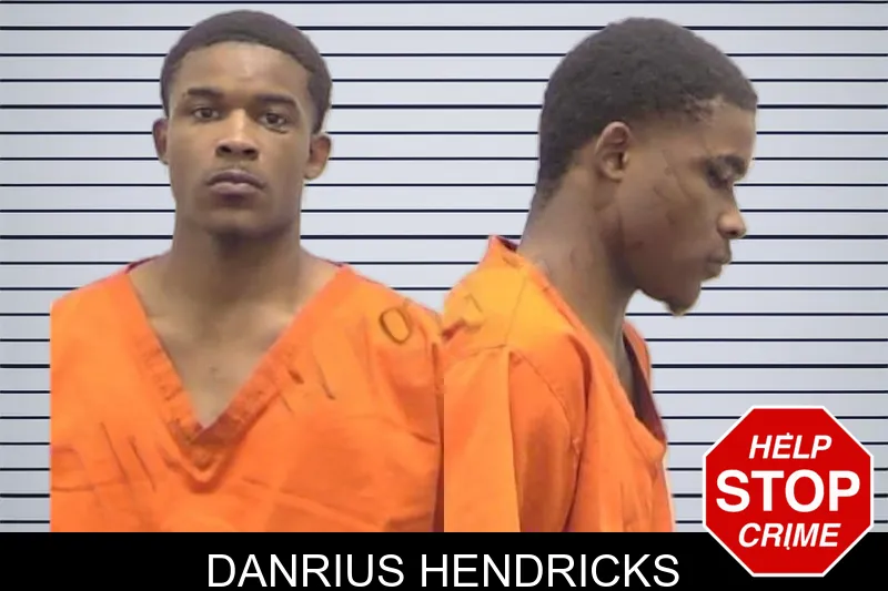 Danrius Hendricks mugshot