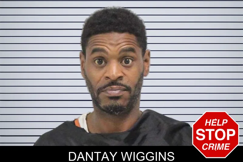 Dantay Wiggins mugshot