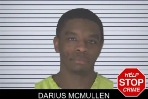 Darius McMullen mugshot