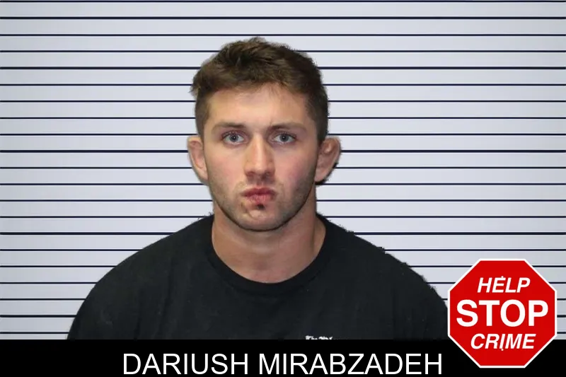 Dariush Mirabzadeh mugshot